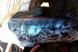 Philippines: Bắt được cá kỳ lạ xăm kín thân