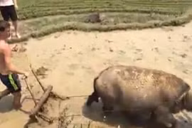 Du lịch trải nghiệm: Hướng đi mới cho Mù Cang Chải