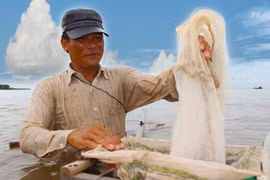 Nghề đẩy ruốc mưu sinh mùa gió Nam ở miền Tây