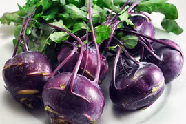 Mê mẩn trồng su hào tím tô điểm cho vườn cực xinh