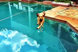 Những hình ảnh trùng hợp đến khó tin gây sửng sốt