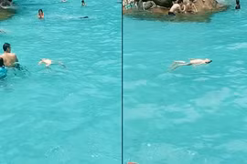 Trẻ đuối nước trong bể bơi đông người, chớ thờ ơ 