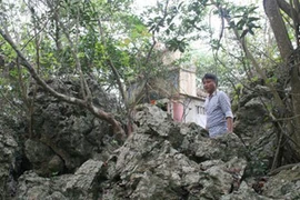 Kỳ bí chùa Trinh Tiết và hòn đá tự lớn tại Hà Nam 