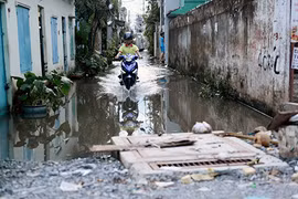 Ảnh: Hẻm thành ao, nhà mọc rêu do thi công đường ở Sài Gòn