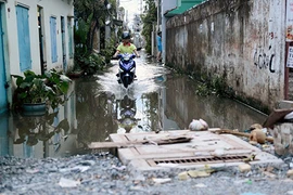Ảnh: Hẻm thành ao, nhà mọc rêu do thi công đường ở Sài Gòn