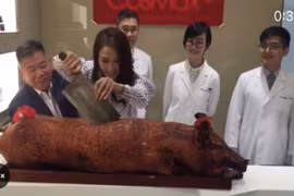 Cuộc sống giàu sang ở tuổi U50 của “Triệu Mẫn” Lê Tư