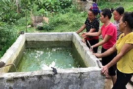 Cha ngã gục chứng kiến 2 con trai chết đuối trong bể nước