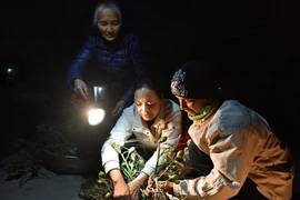 Ảnh: Phiên chợ Tết họp từ tờ mờ sáng ở ngoại thành Hà Nội