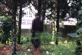 Phát hiện nam thanh niên tử vong trong tư thế treo cổ dưới gốc cây