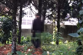 Phát hiện nam thanh niên tử vong trong tư thế treo cổ dưới gốc cây