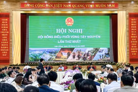 Phó Thủ tướng Trần Lưu Quang chủ trì Hội nghị điều phối vùng Tây Nguyên