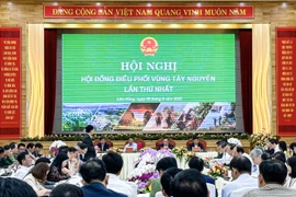 Phó Thủ tướng Trần Lưu Quang chủ trì Hội nghị điều phối vùng Tây Nguyên