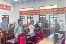 Đắk Lắk: Khởi tố nhiều đối tượng phá hoại tài sản của công ty cà phê