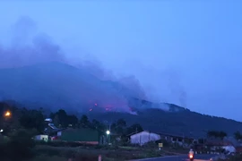 Lâm Đồng: Rừng ở núi Voi cháy lớn
