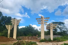 Lâm Đồng: Xem xét thu hồi đất dự án cà phê Trung Nguyên