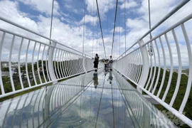 Đà Lạt: Khai trương cầu kính đầu tiên ở Tây Nguyên