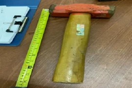 Đắk Lắk: Người mẹ dùng búa sắt đánh con ruột tử vong