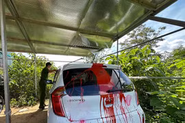 Đắk Lắk: Khởi tố vụ xe gia đình phóng viên Báo Tuổi Trẻ bị tạt sơn