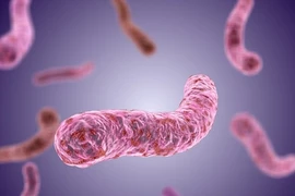 Đắk Lắk: Bé gái tử vong vì bệnh Whitemore