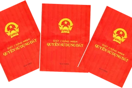 Bản chất của việc ghi tên các thành viên gia đình vào “sổ đỏ”