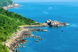 Công bố thanh tra toàn bộ các dự án tại Sơn Trà, Đa Phước