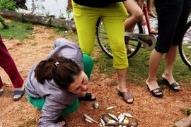 Khi nào bồi thường xong thiệt hại sự cố môi trường biển miền Trung?