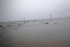 Lũ đang lên trên các sông từ Quảng Trị đến Bình Định