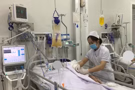 Không tìm thấy vi khuẩn botulinum trong món chả lụa, vậy độc tố từ đâu?