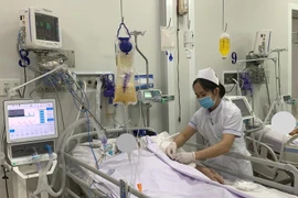 Không tìm thấy vi khuẩn botulinum trong món chả lụa, vậy độc tố từ đâu?