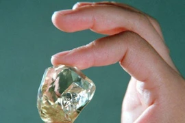 Đang cuốc đất làm đồng, bất ngờ đụng trúng bảo vật nghìn tỷ