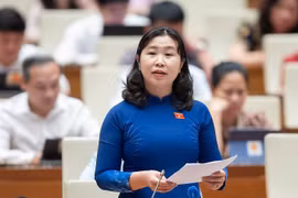 ĐBQH: Thủ đoạn tinh vi, hành vi gian lận khó nhận biết trong đấu thầu