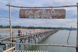 Ngắm cây cầu gỗ dài nhất Việt Nam