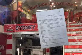 Bị tố nợ lương, bảo hiểm NLĐ: Công ty GD&ĐT Quốc tế Sydney có bị phạt? 