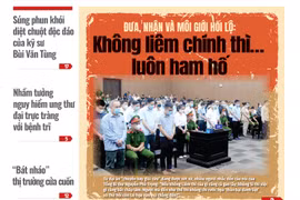 KHOA HỌC VÀ ĐỜI SỐNG SỐ 29 - 20/7/2023