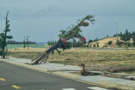 Nhơn Hội New City vẫn không một bóng người sau 2 năm bàn giao