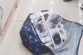 Đạo chích đột nhập FPT Shop, trộm 41 điện thoại gần 1 tỷ đồng