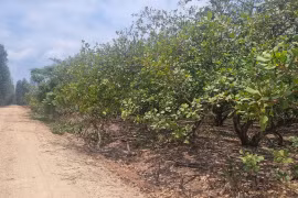 Đất dân khai hoang nhưng lại 'cấp nhầm' cho cán bộ 