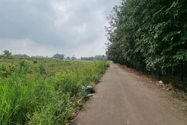 Đồng Nai: Người dân lo lắng vì hướng tuyến Vành đai 4 có thể điều chỉnh