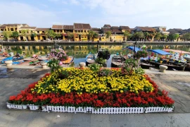 Quảng Nam: Tốc độ tăng trưởng kinh tế 6 tháng đầu năm giảm hơn 9%