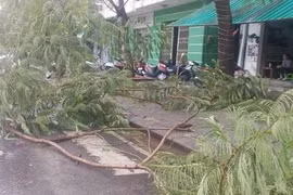 Bão số 10 chưa vào tới đất liền, Huế đã có người thiệt mạng