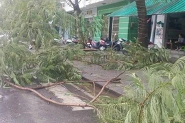 Bão số 10 chưa vào tới đất liền, Huế đã có người thiệt mạng