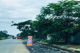 Cơn sốt đất Long Thành: Chính quyền cảnh báo, môi giới vẫn “làm loạn“