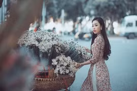 MC xinh đẹp dệt màu đông lãng mạn bằng cúc họa mi 