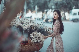 MC xinh đẹp dệt màu đông lãng mạn bằng cúc họa mi 