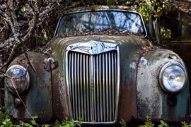 Phát hiện hàng nghìn ô tô cổ bị chôn trong rừng sâu