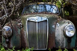 Phát hiện hàng nghìn ô tô cổ bị chôn trong rừng sâu