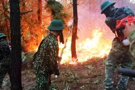 Cháy rừng thông trên núi Hồng Lĩnh: Bắt nghi can làm cháy rừng