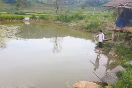 3 cháu nhỏ tử vong thương tâm ở Điện Biên