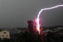 Người phụ nữ bị sét đánh tử vong khi đi thăm ruộng