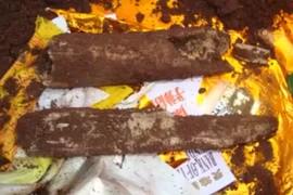 Tận mắt xương lợn, bò giả làm hài cốt liệt sĩ